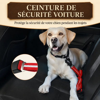 Laisse Tactique Amortissante Double Poignée - Ceinture de sécurité voiture